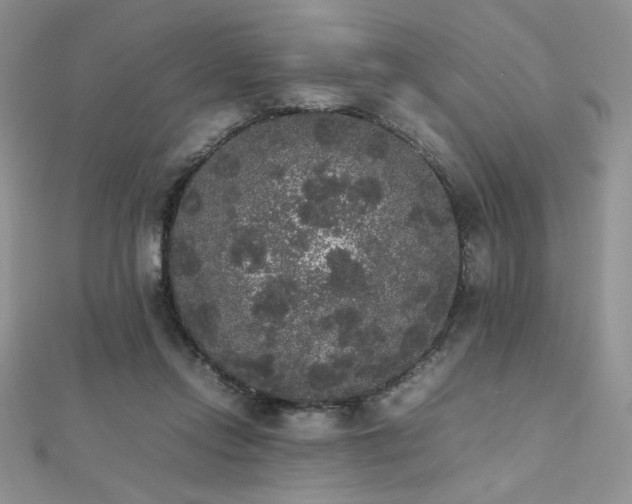 X0000112530358200908171426
