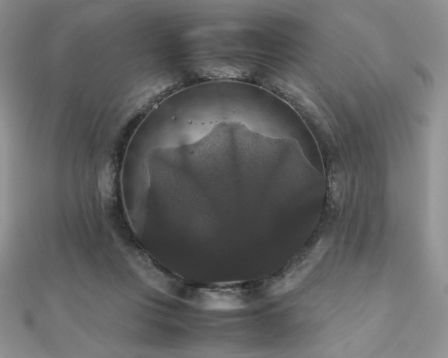 X0000112530359200908171426