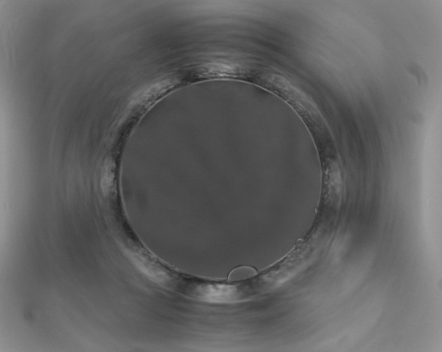 X0000112530361200908171426