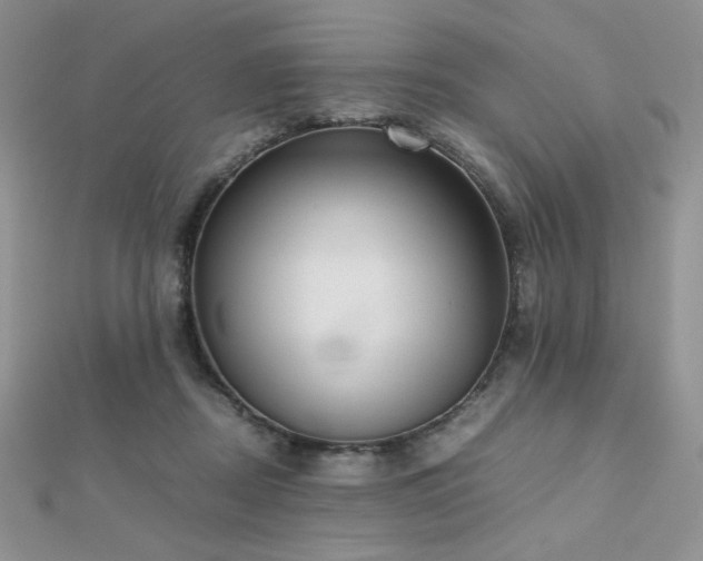 X0000112530362200908171426
