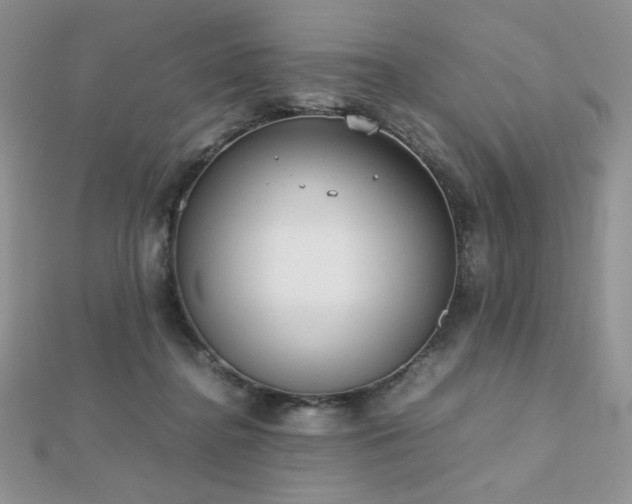 X0000112530364200908171426