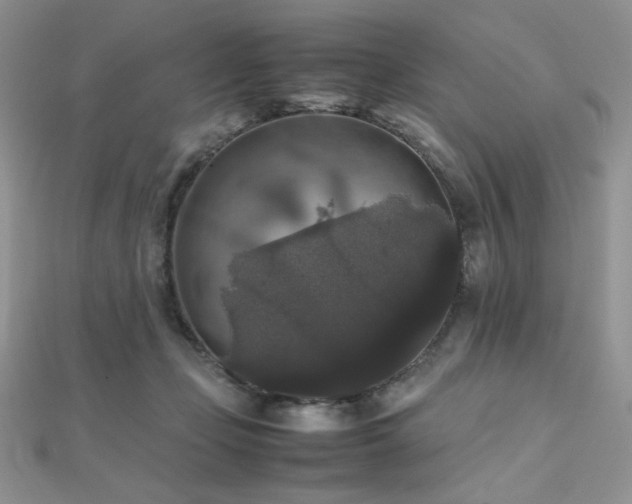 X0000112530365200908171426