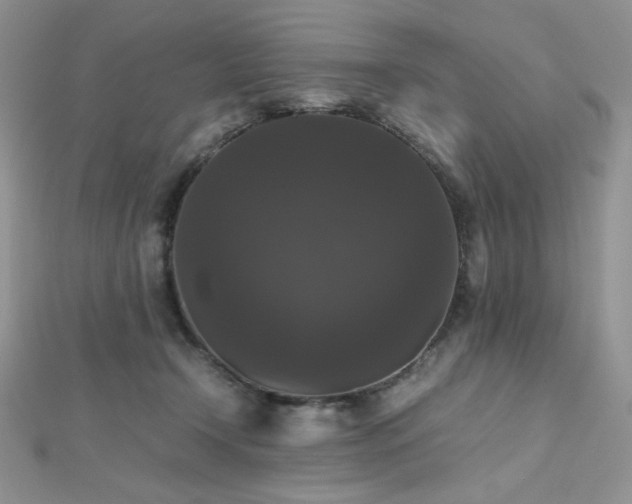 X0000112530366200908171426