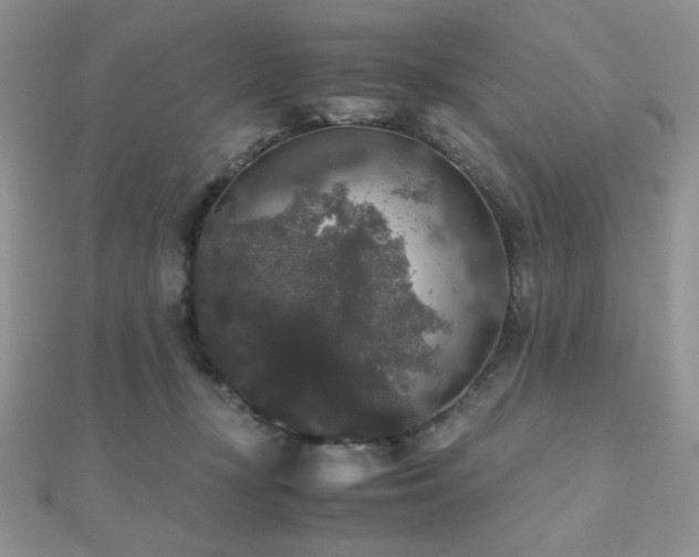 X0000112530367200908171426
