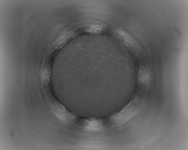 X0000112530370200908171426