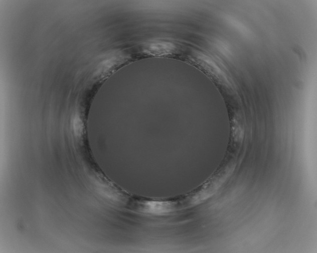 X0000112530371200908171426