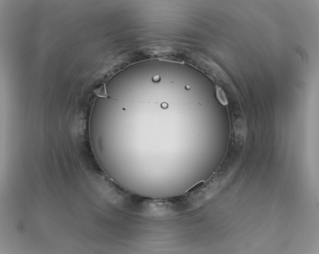 X0000112530372200908171426