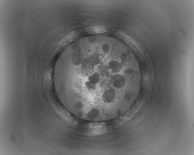 X0000112530373200908171426