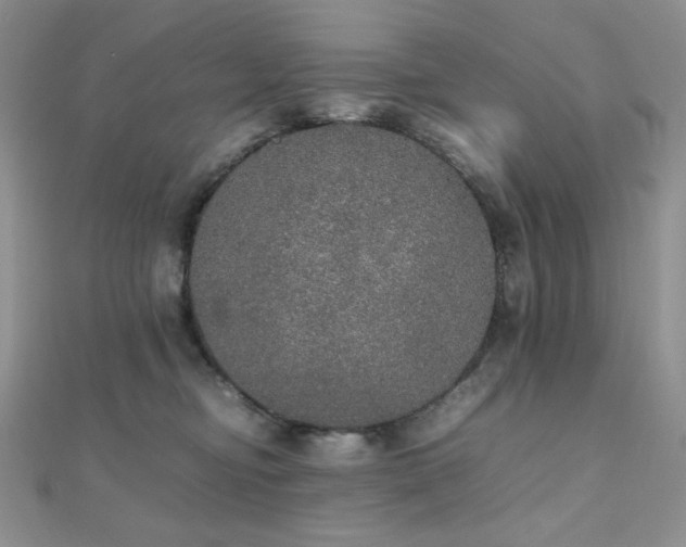 X0000112530374200908171426