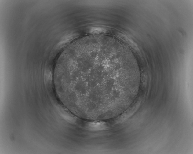 X0000112530375200908171426