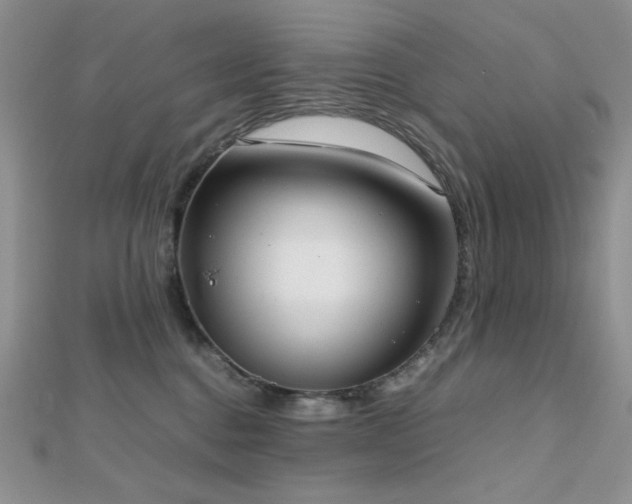 X0000112530376200908171426