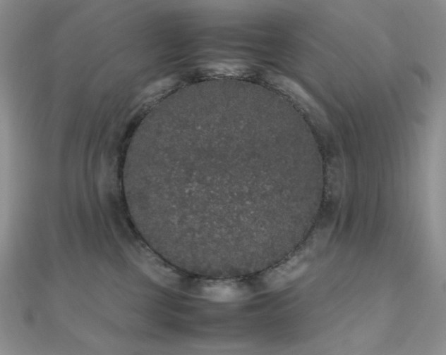 X0000112530377200908171426