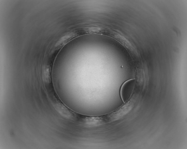 X0000112530378200908171426