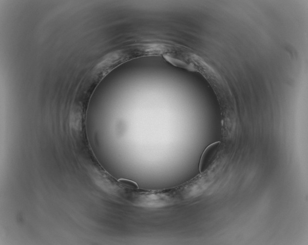 X0000112530379200908171426