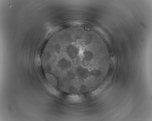 X0000112530381200908171426