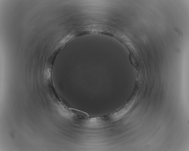 X0000112530382200908171426