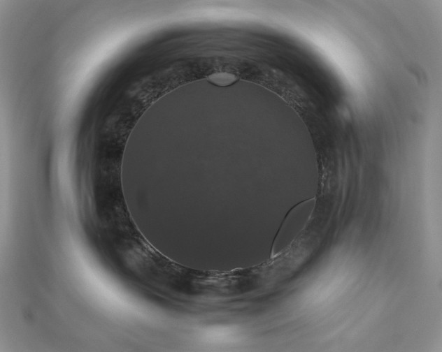X0000112530383200908171426