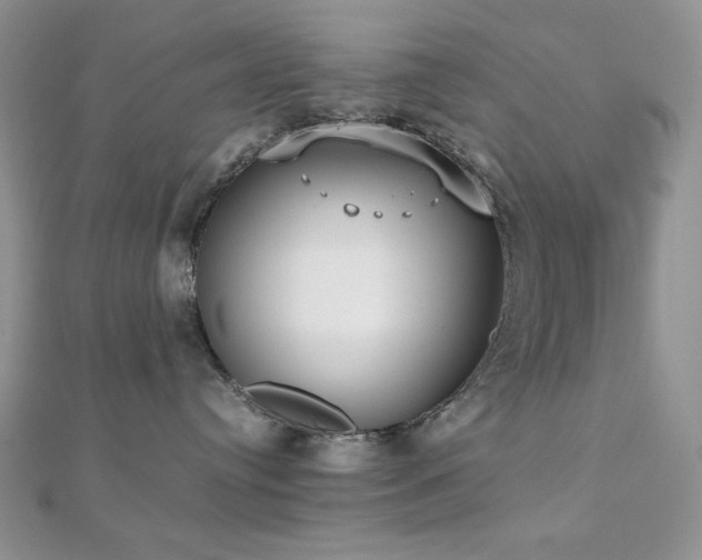 X0000112530384200908171426