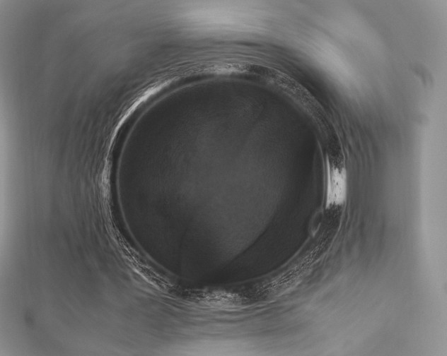 X0000112530387200908171425