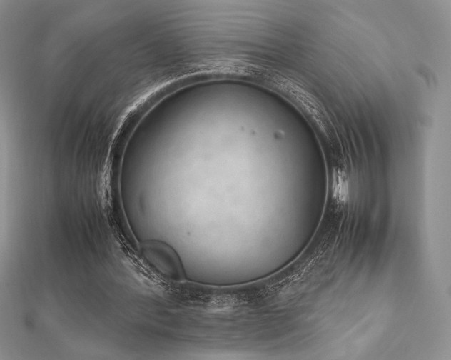 X0000112530388200908171425