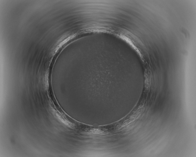X0000112530390200908171425