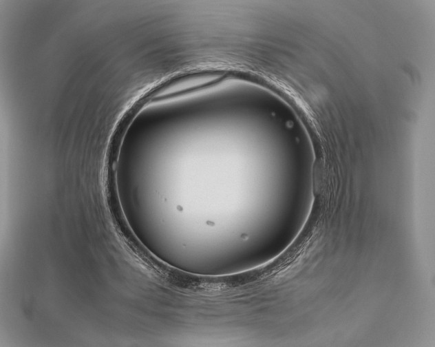 X0000112530391200908171425