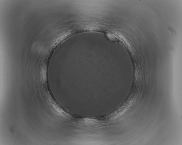 X0000112530393200908171425