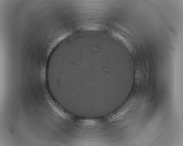 X0000112530394200908171425
