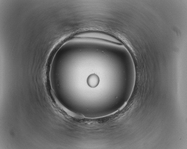 X0000112530395200908171425