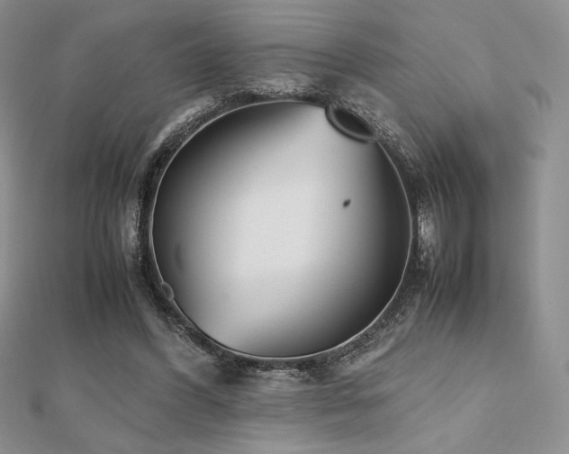 X0000112530396200908171425