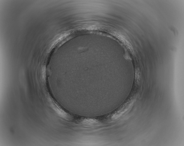 X0000112530397200908171425