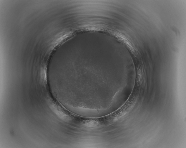 X0000112530398200908171425