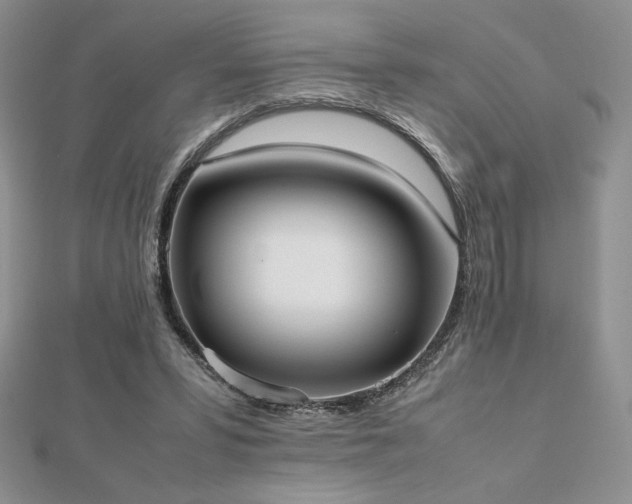 X0000112530399200908171425