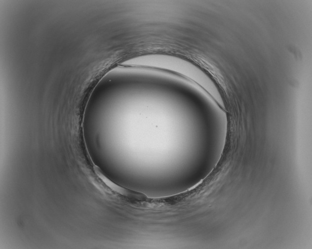 X0000112530401200908171425