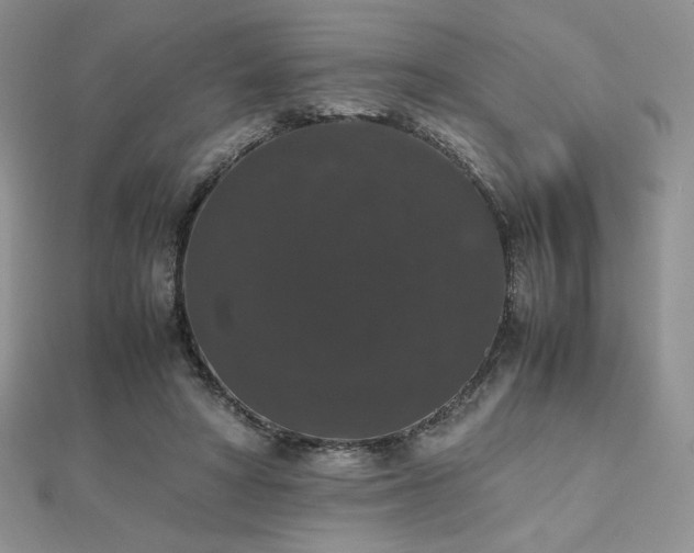 X0000112530402200908171425