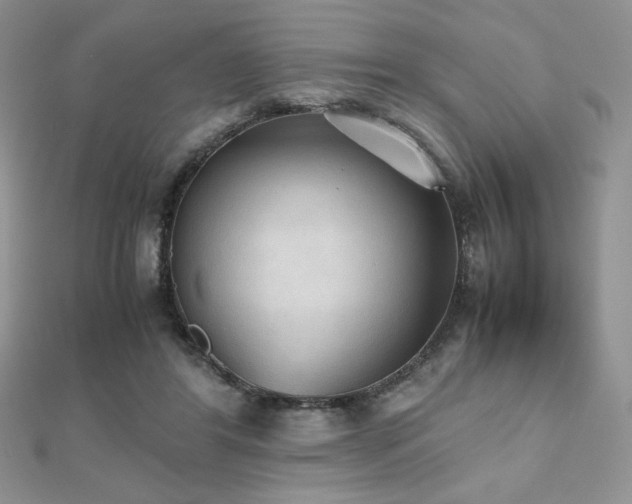 X0000112530404200908171425