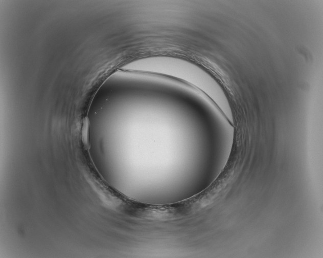 X0000112530405200908171425