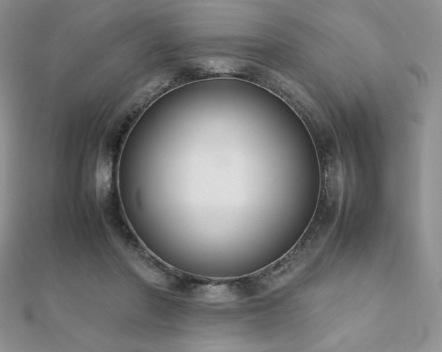 X0000112530406200908171425