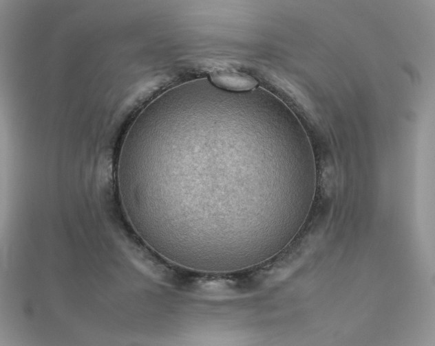 X0000112530407200908171425
