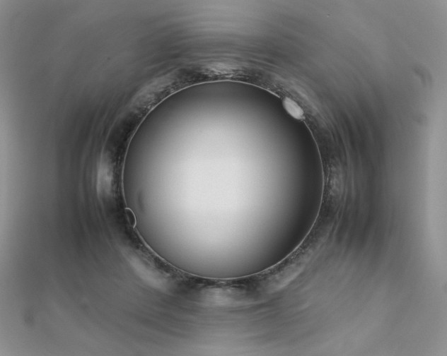 X0000112530408200908171425