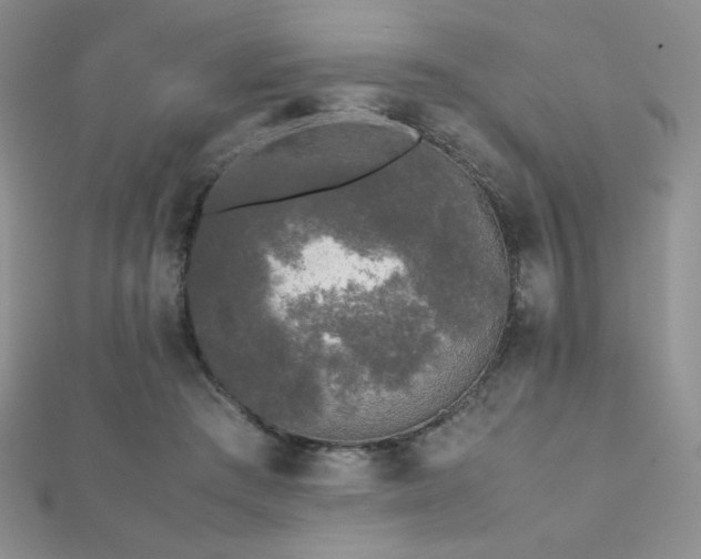 X0000112530409200908171425