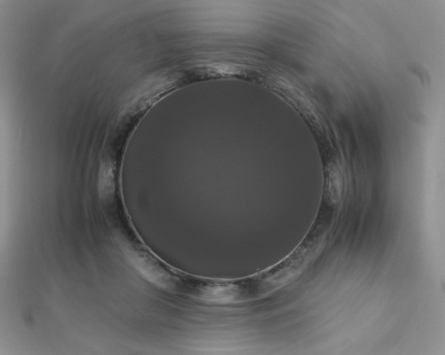 X0000112530410200908171425