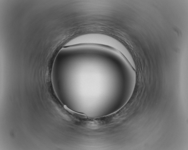 X0000112530411200908171425