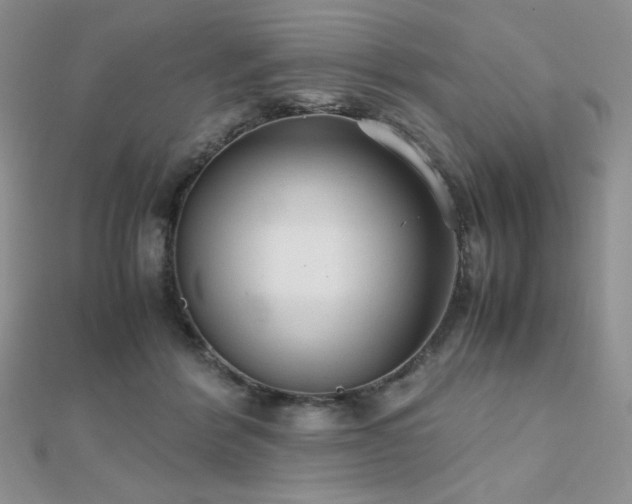 X0000112530412200908171425