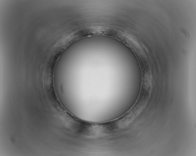 X0000112530413200908171425