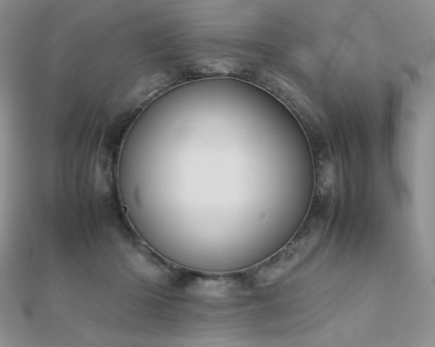 X0000112530414200908171425