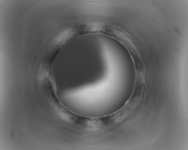 X0000112530415200908171425