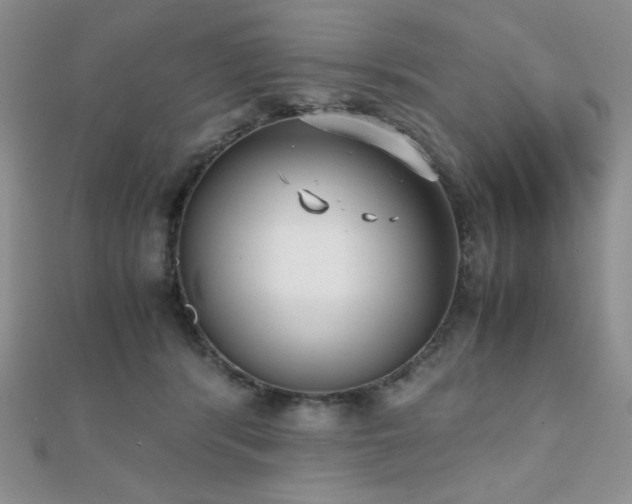 X0000112530416200908171425
