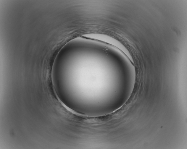 X0000112530417200908171425