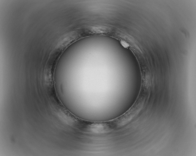 X0000112530418200908171425